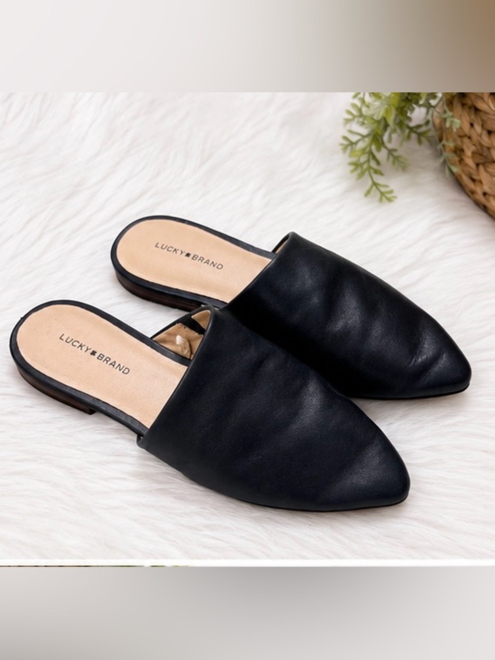Lucky Brand Black Pointed D'Orsay Mules